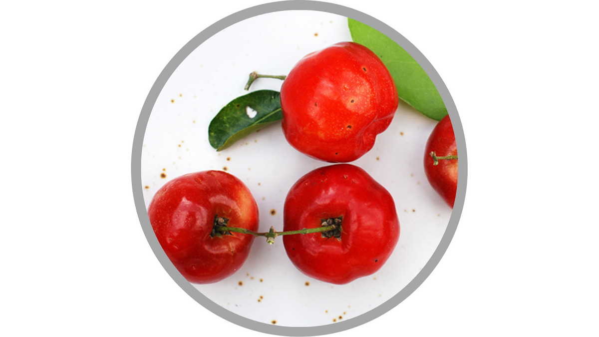 Certified Organic Saccharomyces/Malpighia Glabra (Acerola) Fruit Ferment Filtrate
