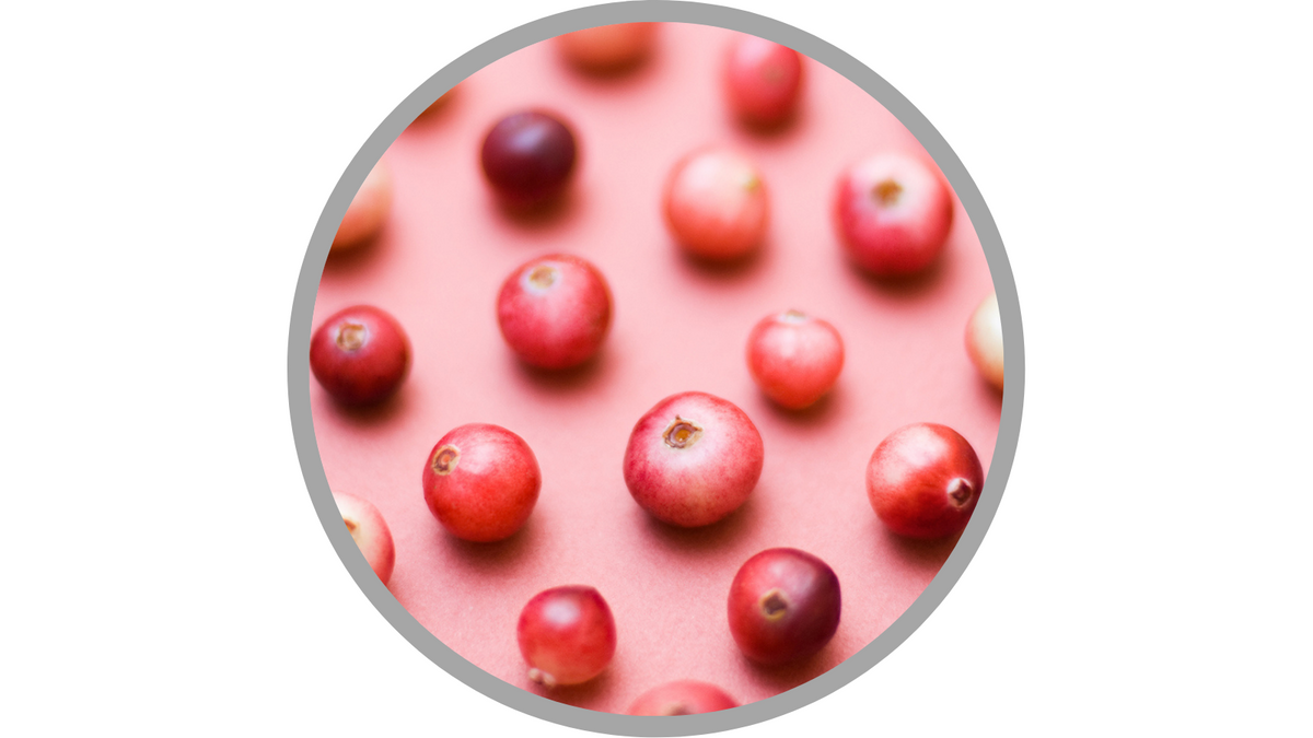 Certified Organic Vaccinium Macrocarpon (Cranberry) Fruit Extract