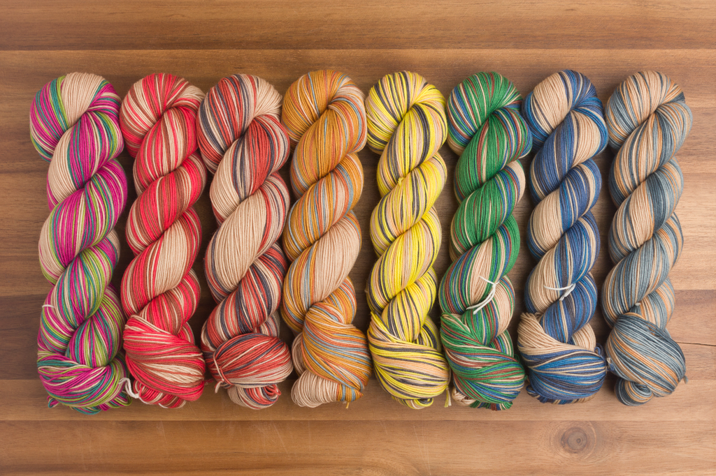 A Checklist of Birds rainbow of yarn hanks Gauge Dye Works Andrea Rangel