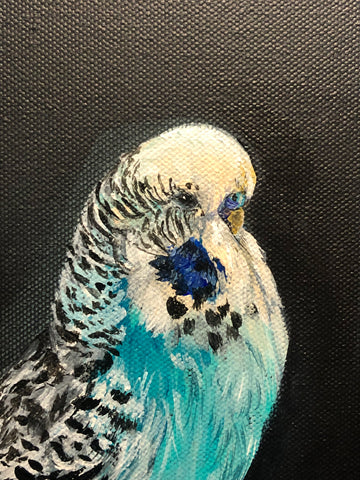 Close up of the painting - budgie