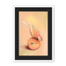 Peachy Parakeet Framed Print Sticky Beaks A3 (297 X 420 mm) / White / Black Mount Framed Print