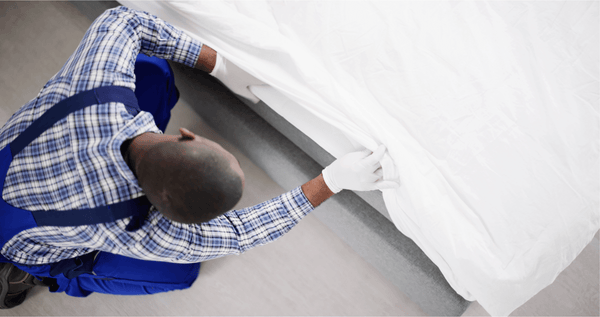 Housekeeping staff inspecting hotel room mattress for bed bugs