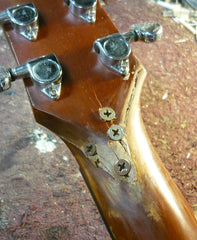 P1100390_medium.JPG?6119