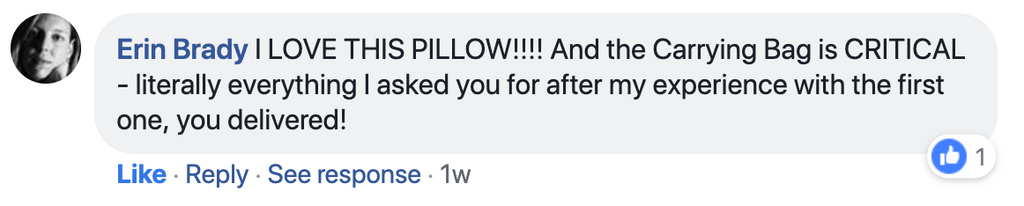 Trtl Pillow Plus Feedback from Erin