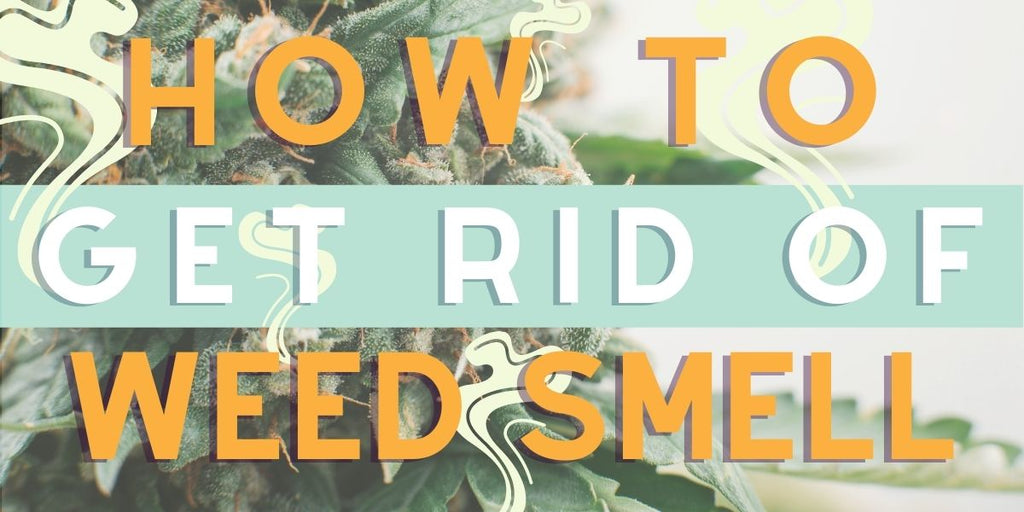 How To Get Rid Of Weed Smell – Mary Jane's Headquarters