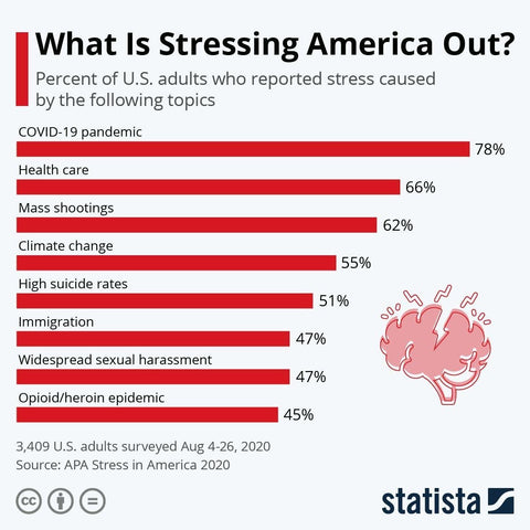 Biggest Stress Factors In US