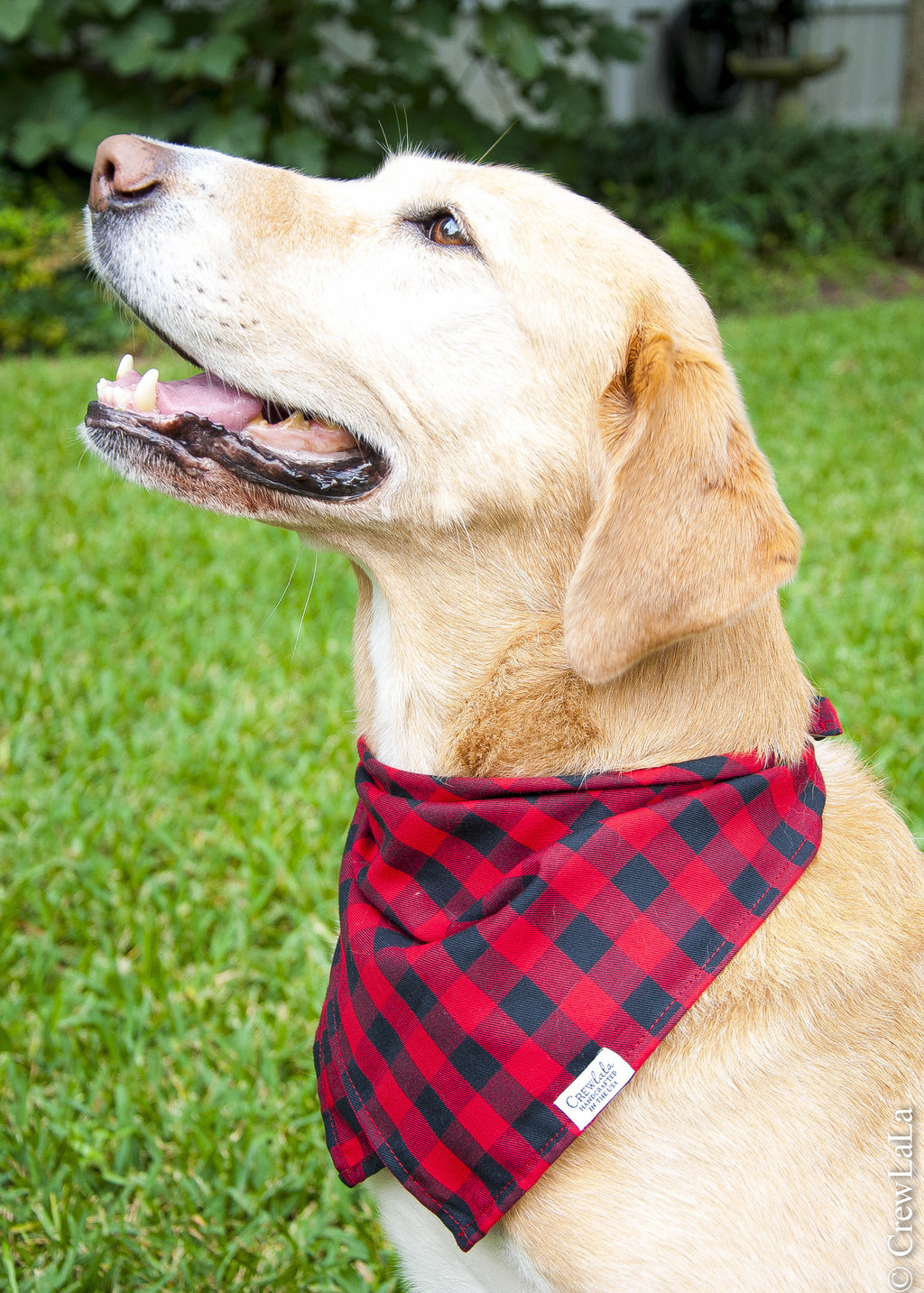 buffalo plaid dog scarf