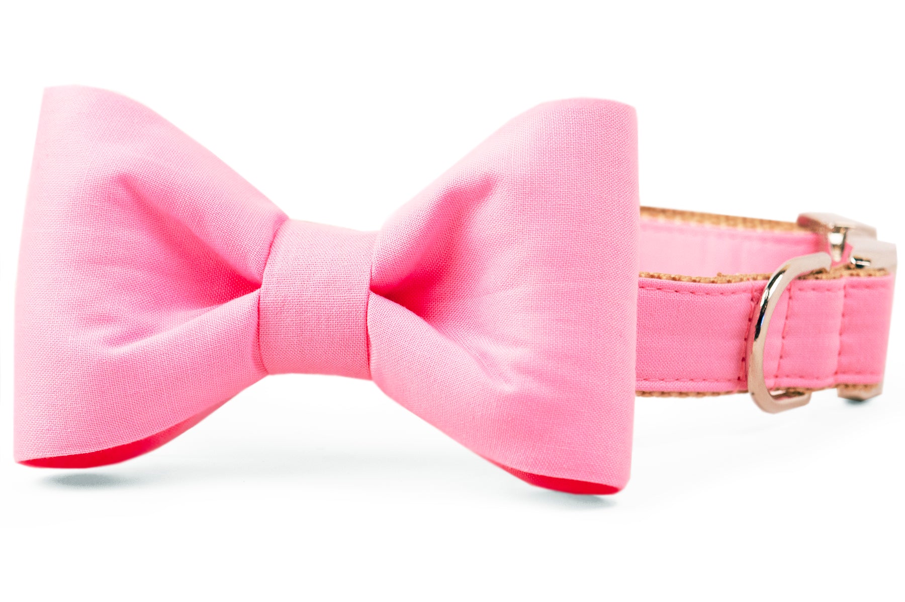 Carnation Pink Bow Tie Dog Collar