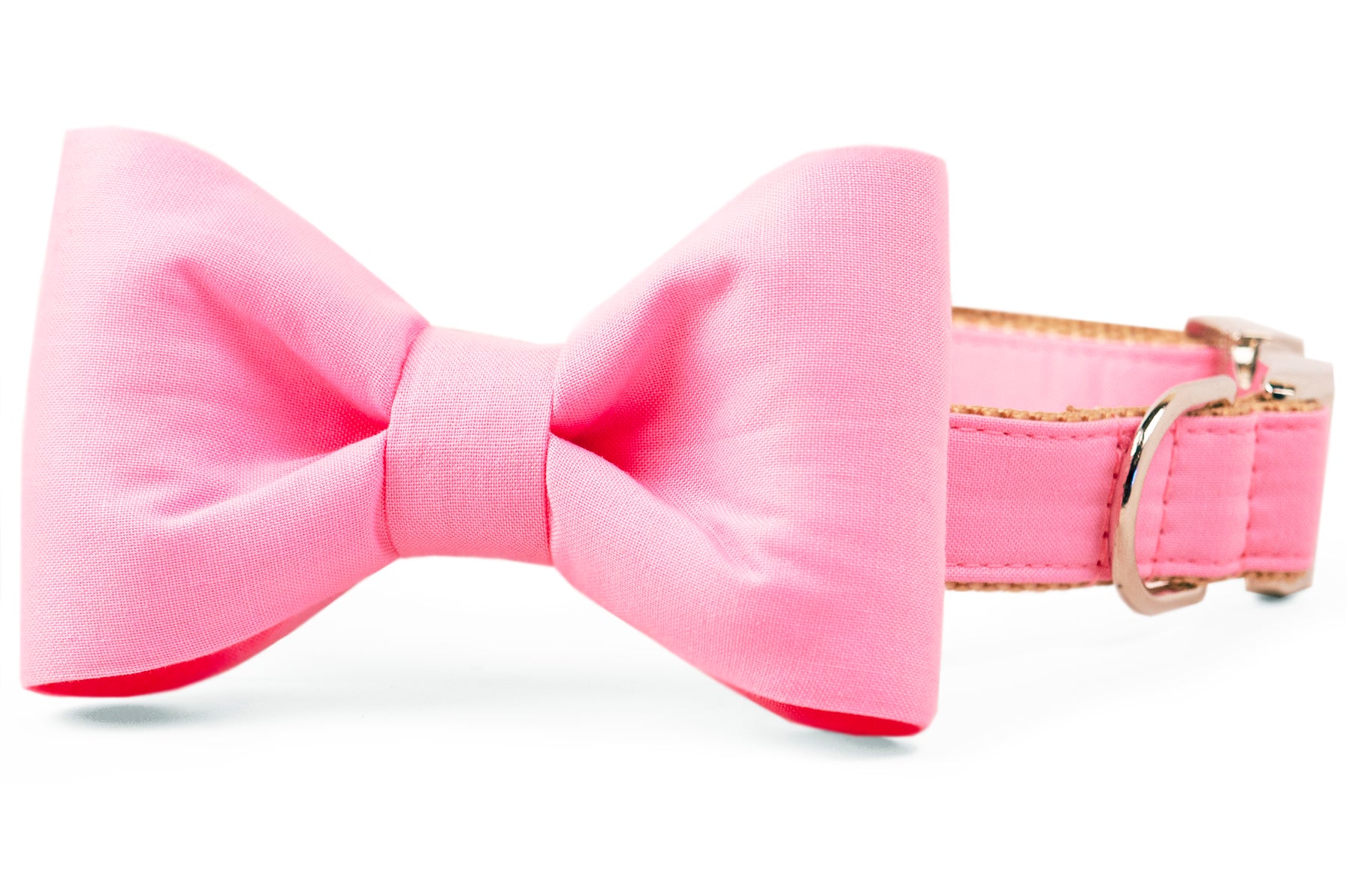 pink bow tie dog collar