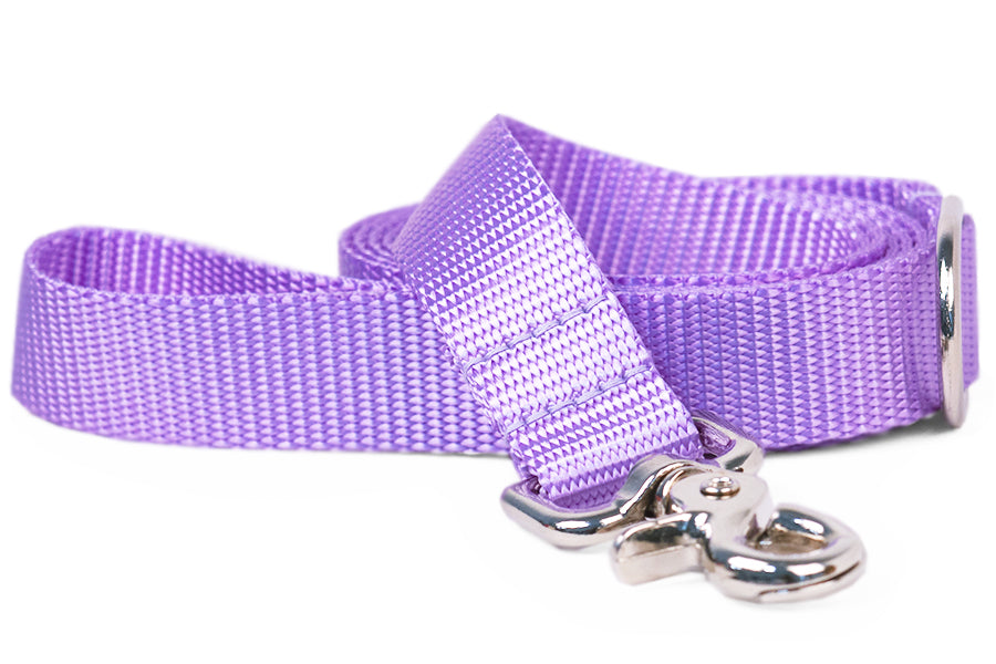 Nylon Collars And Leashes Crew Lala 2805