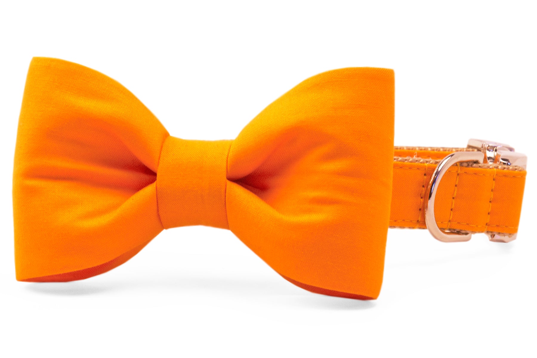 orange bow tie dog collar