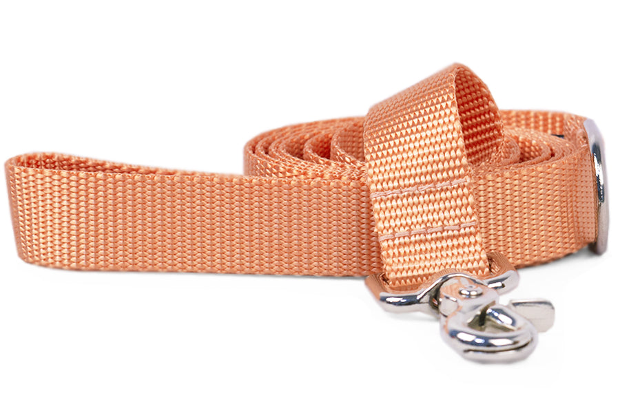 Crew LaLa Tangerine Naked Webbing Dog Collar