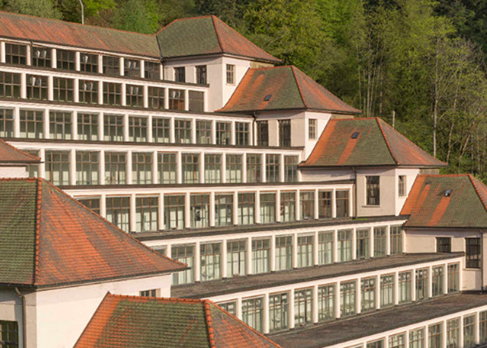 Museo Terrassenbau de Schramberg