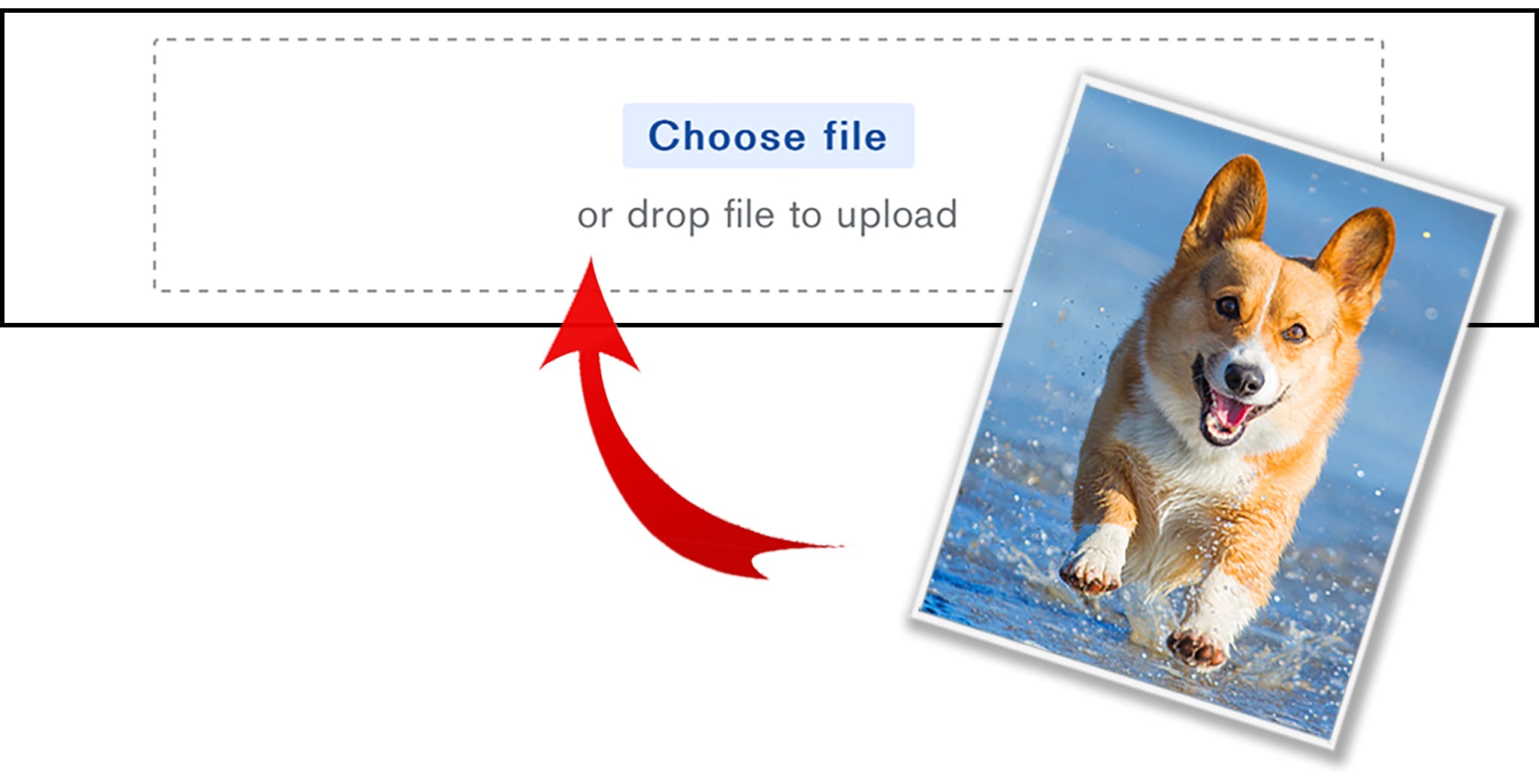 Custom Paint by Numbers Step 1 How to Upload Photo