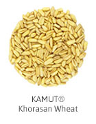 KAMUT® Khorasan Wheat