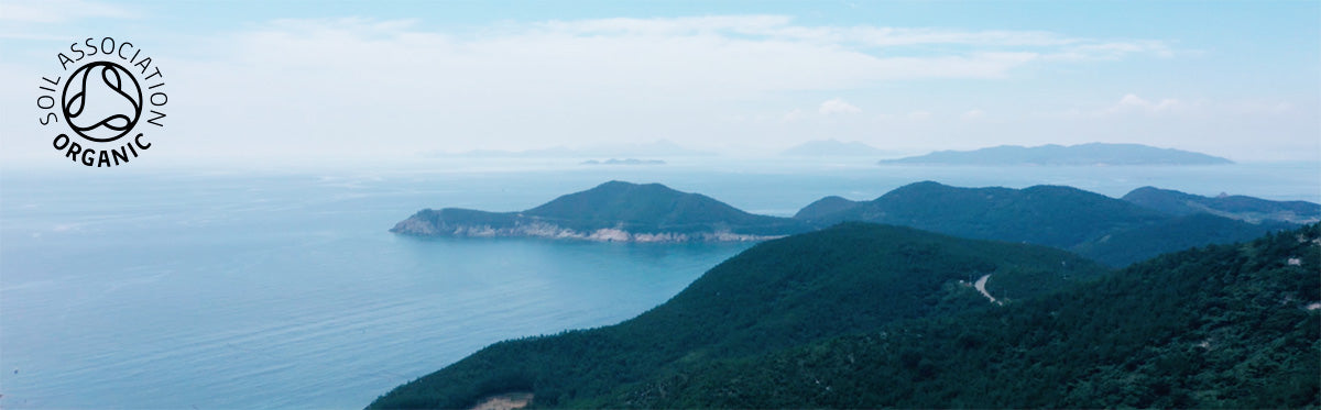 Luscious clear water off the coast of Korea