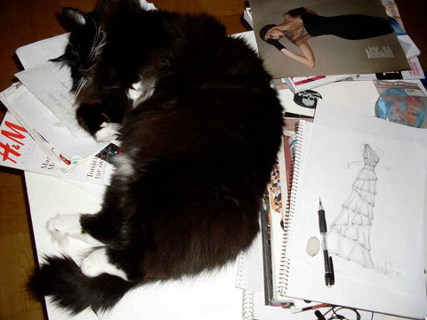 large black fluffy cat sleeping on fashion drawings