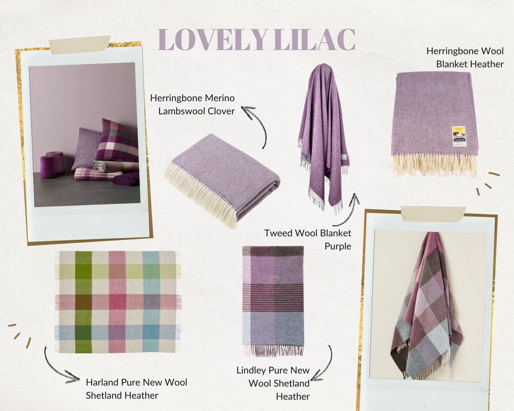 Lilac purple blankets