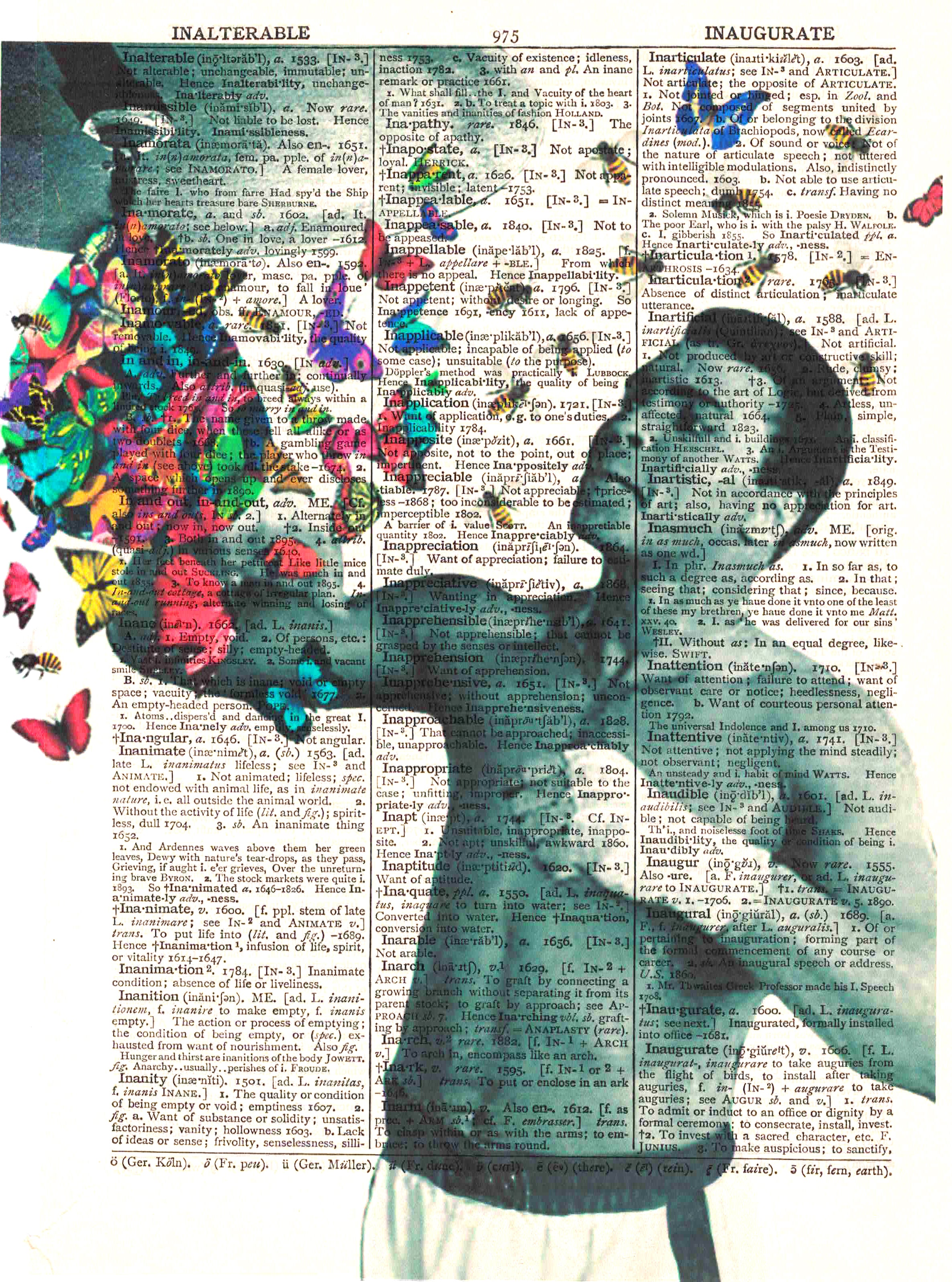 Art N Wordz Muhammad Ali Float Like A Butterfly Sting Like A Bee Dicti Whinycat