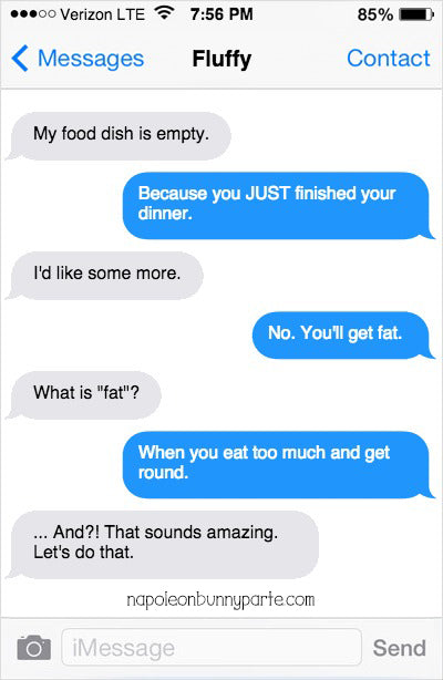 Texts from your rabbit... if your rabbit could text. PART TWO ...