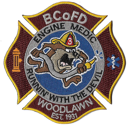 Boston Engine 22 Alley Cats Patch