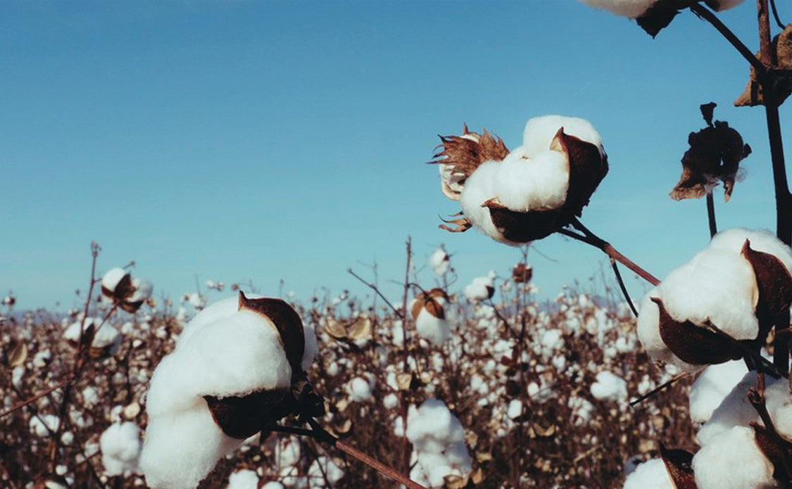 Spell Organic Cotton