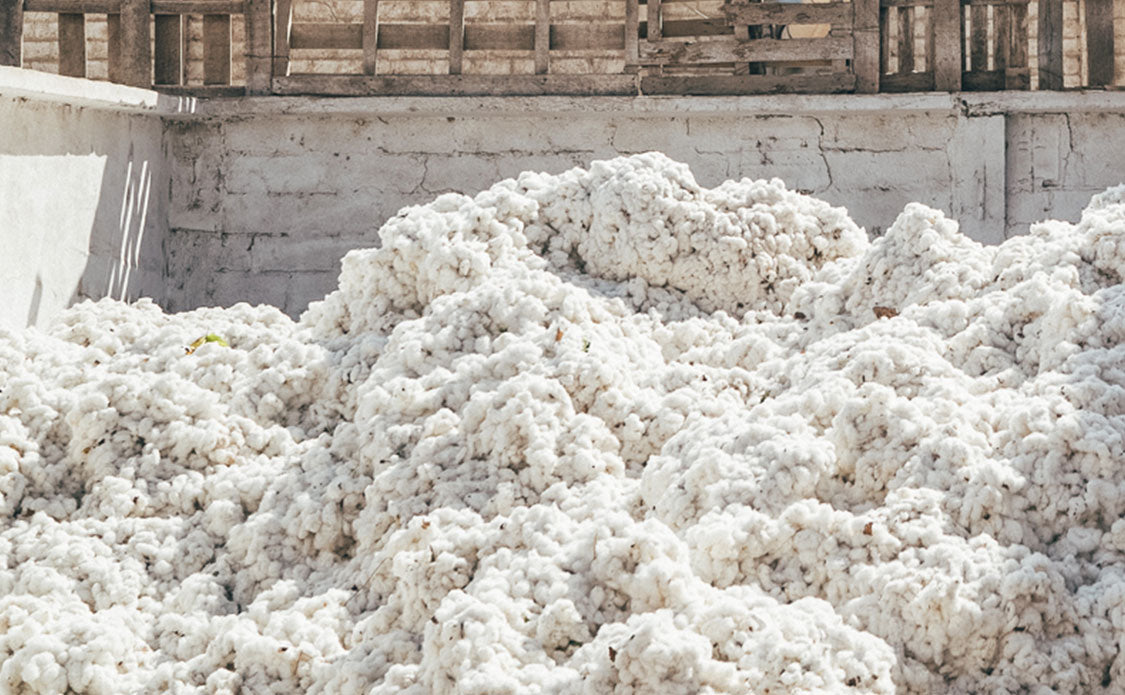 Preferred Cotton – What is it & Why is it Superior? – Sustainable