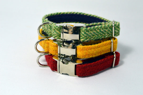 small puppy collars and leads