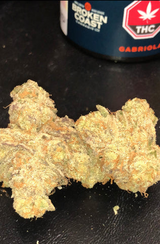 Broken Coast Gabriola Review - Budders Cannabis