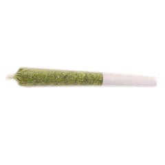 msiku gelato pre rolls