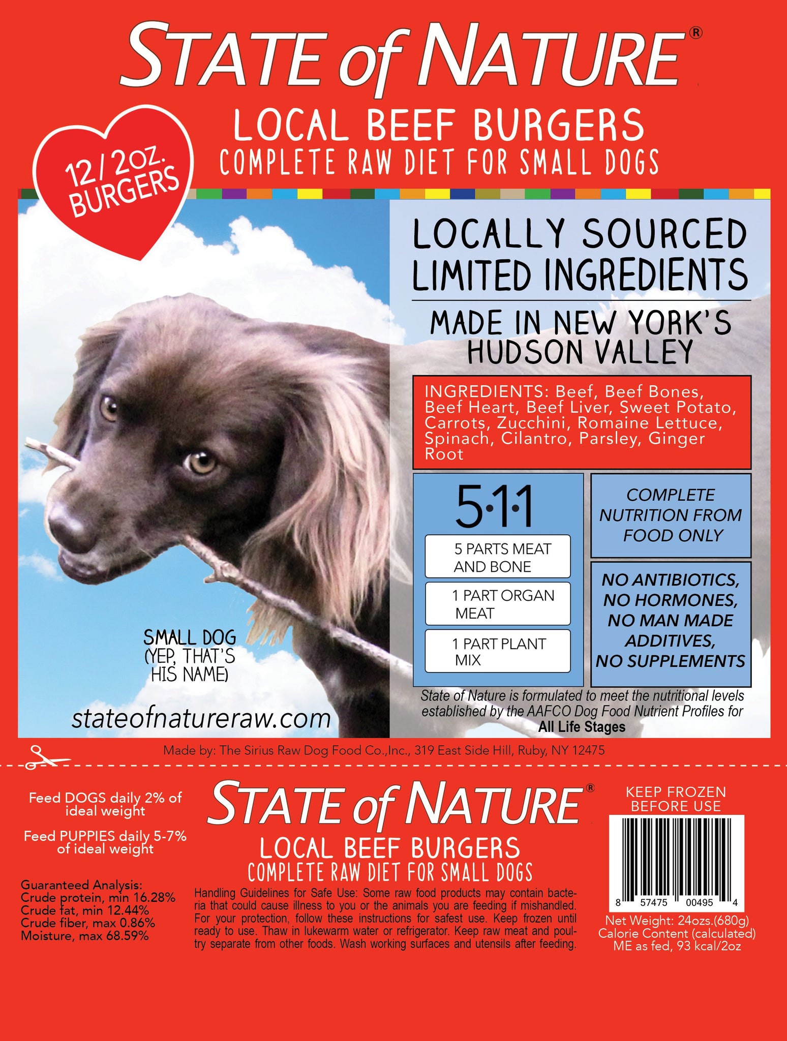 is raw dog food safe