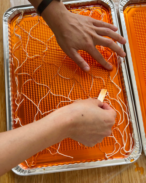 Embedding cotton netting in agar bioplastic.