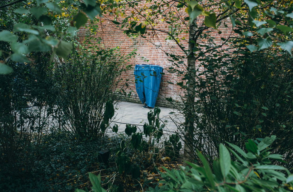 Photo taken by Yaxi Wang through the trees to spot a giant pant alone against the wall.