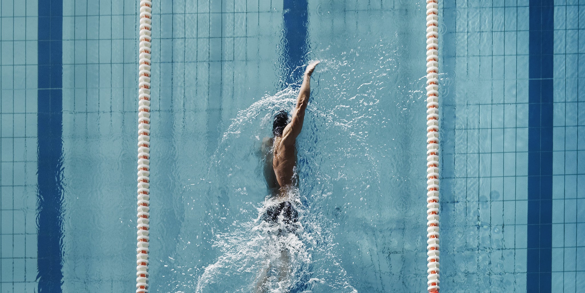 Overhead view of man swimming in a lane pool