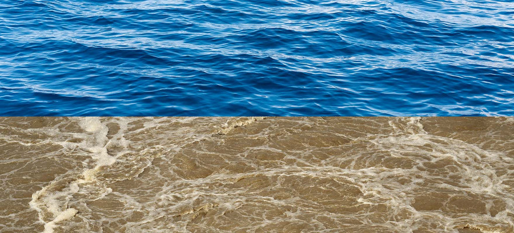 pristine versus murky water