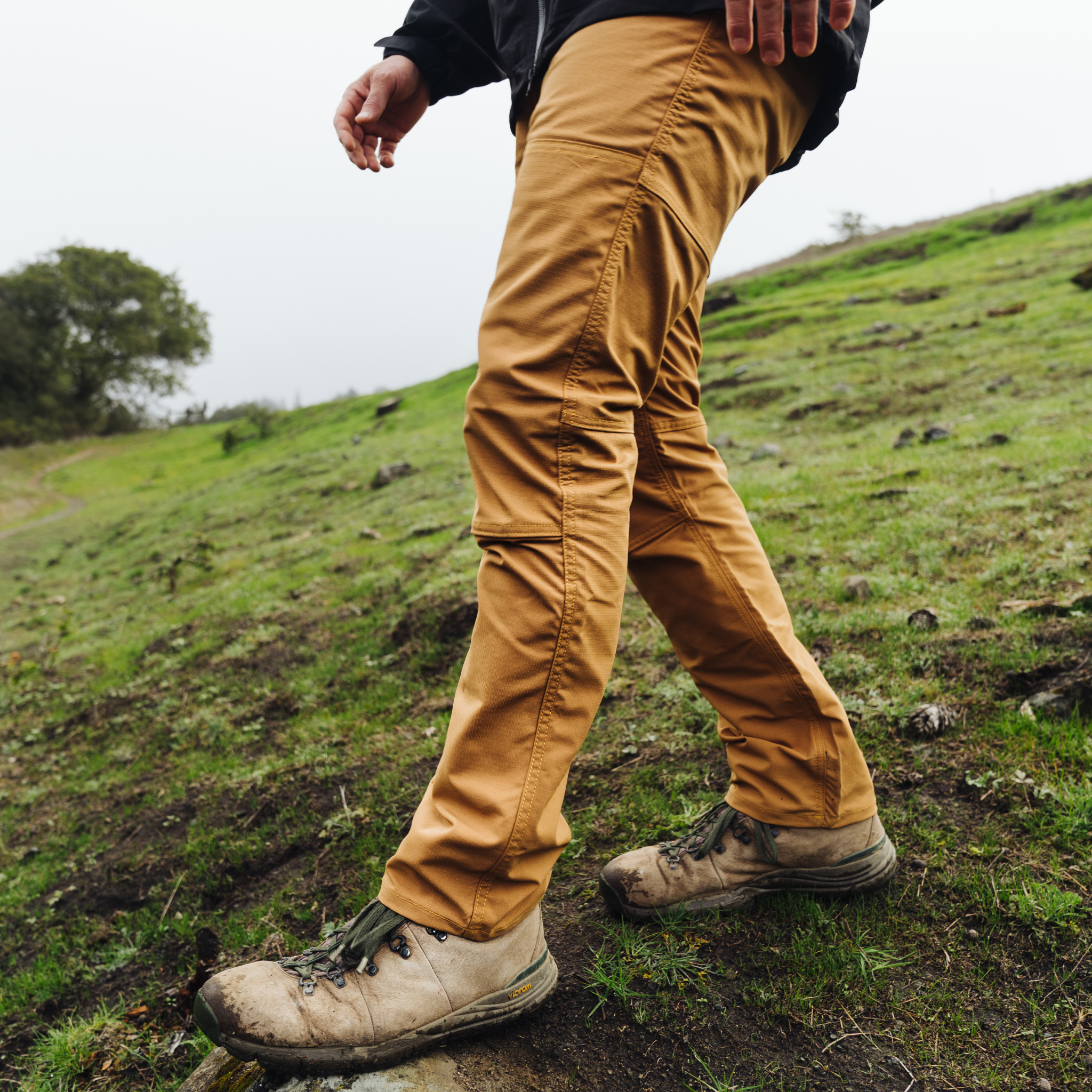 Foothill Pant