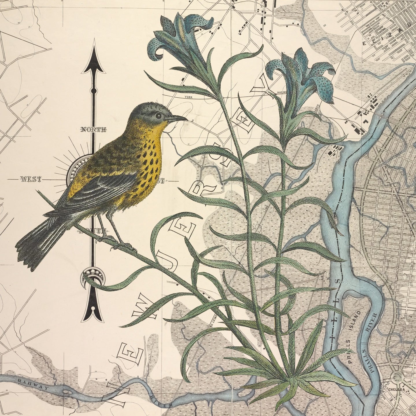Close up of bird details on a Wendy Gold map