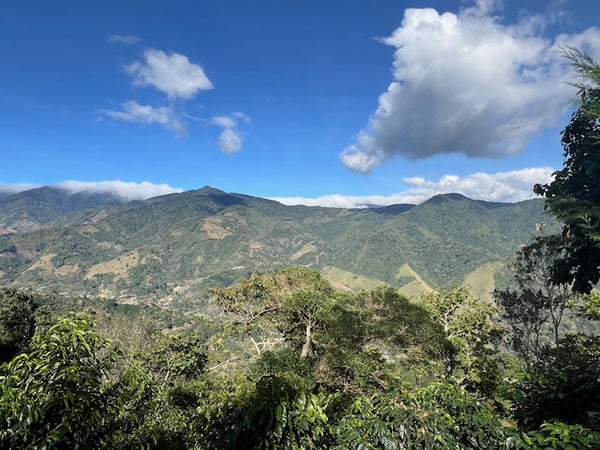 View while hiking up a mountain