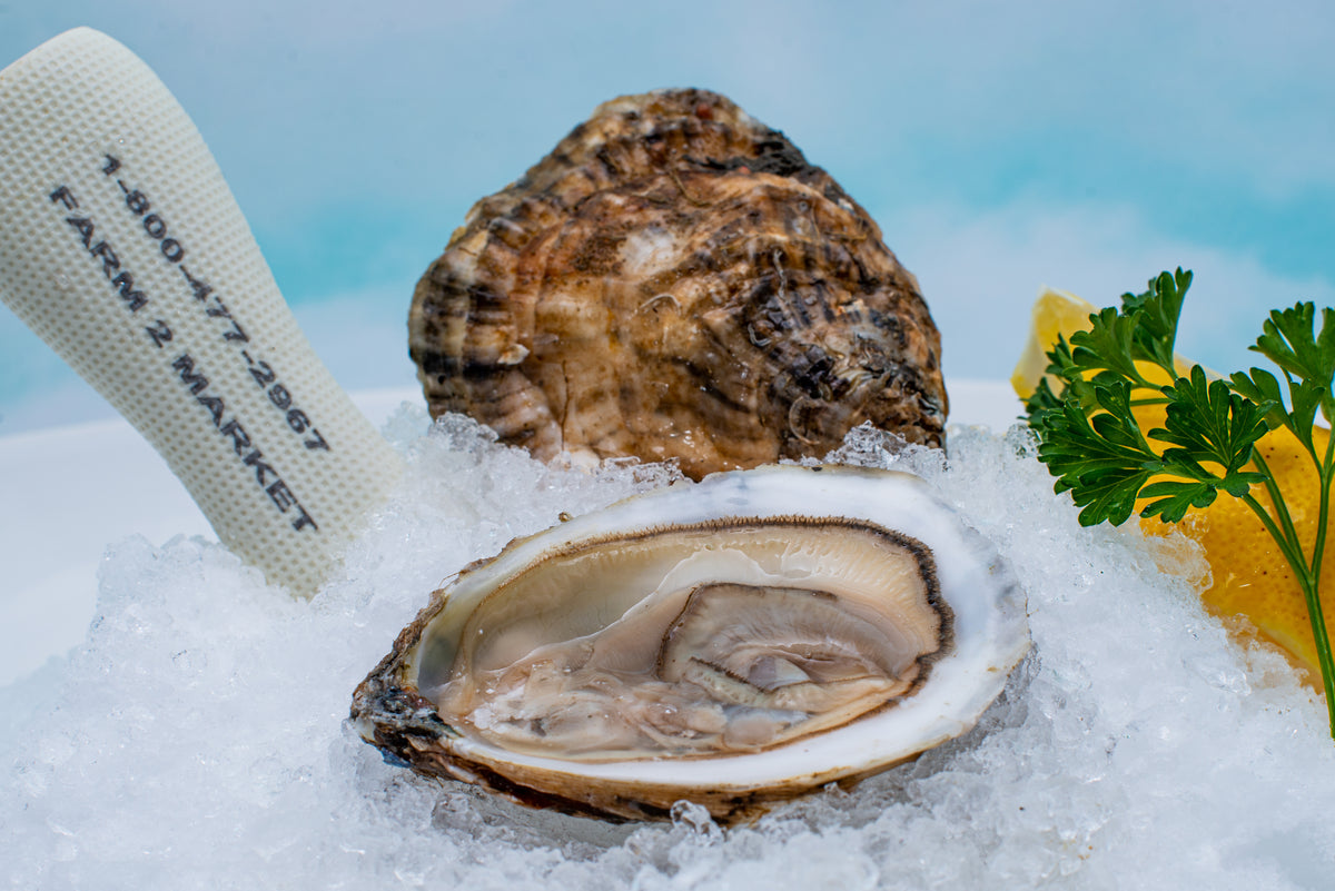 Blue Point Oysters on Sale Now FARM2MARKET