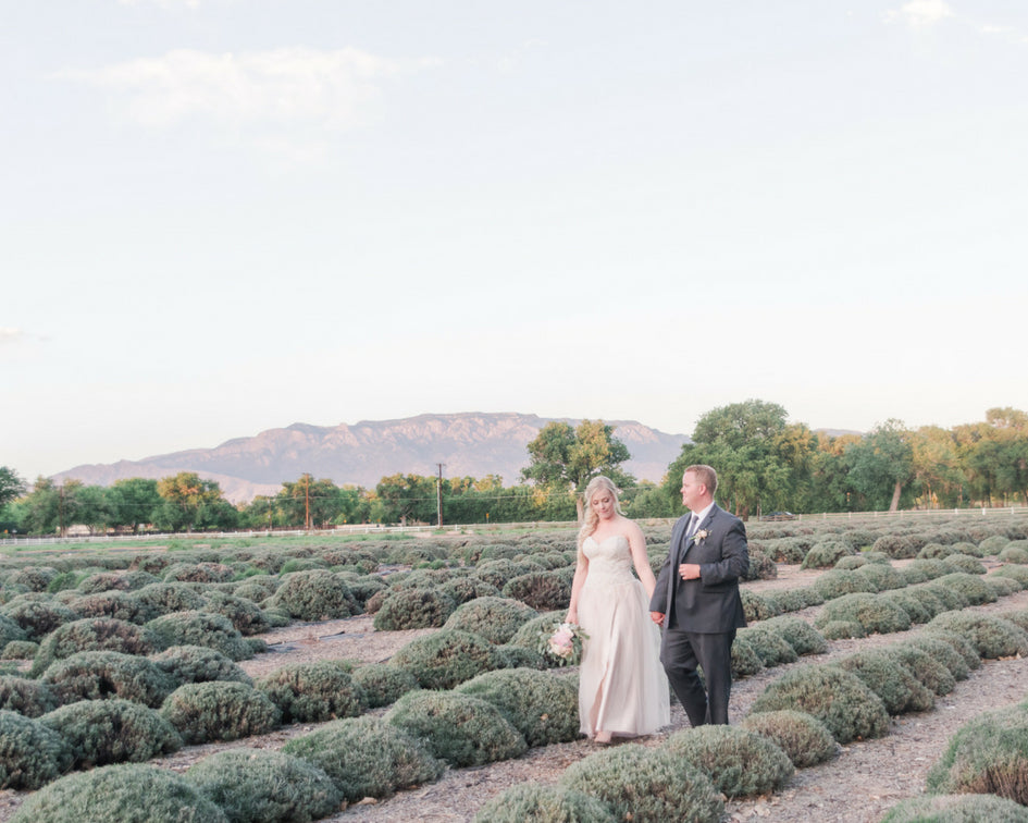 New Mexico bride and groom 