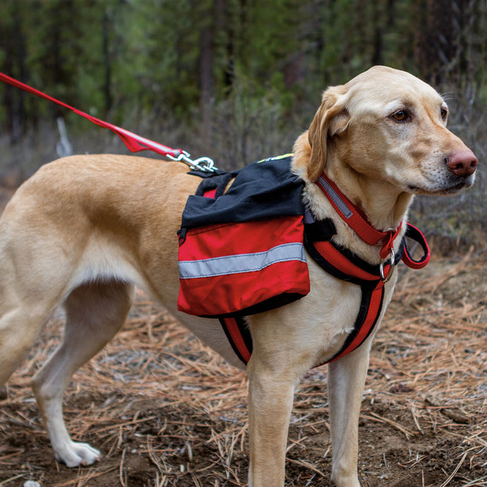 Harnesses – Alpine Outfitters