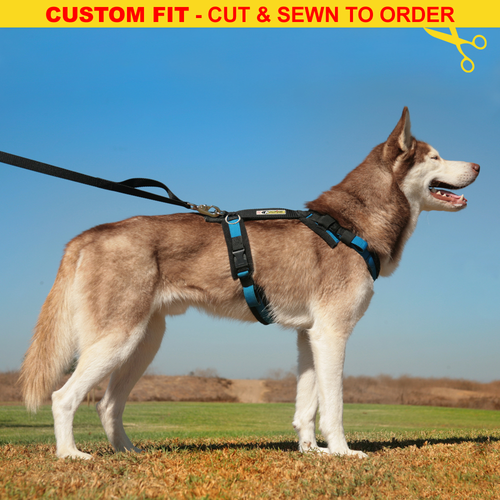 X-Back Harness - CUSTOM FIT - Cut & Sewn to Order – Alpine Outfitters