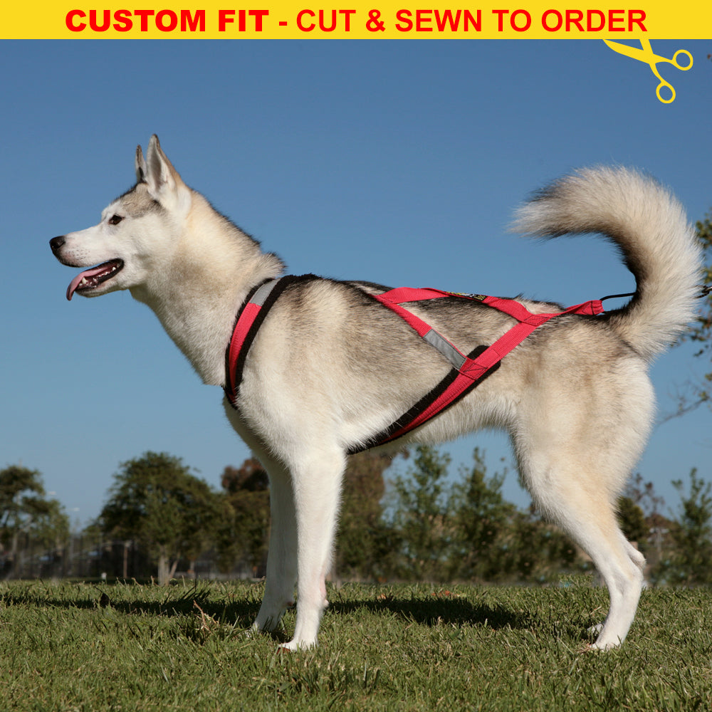 Dog Harness