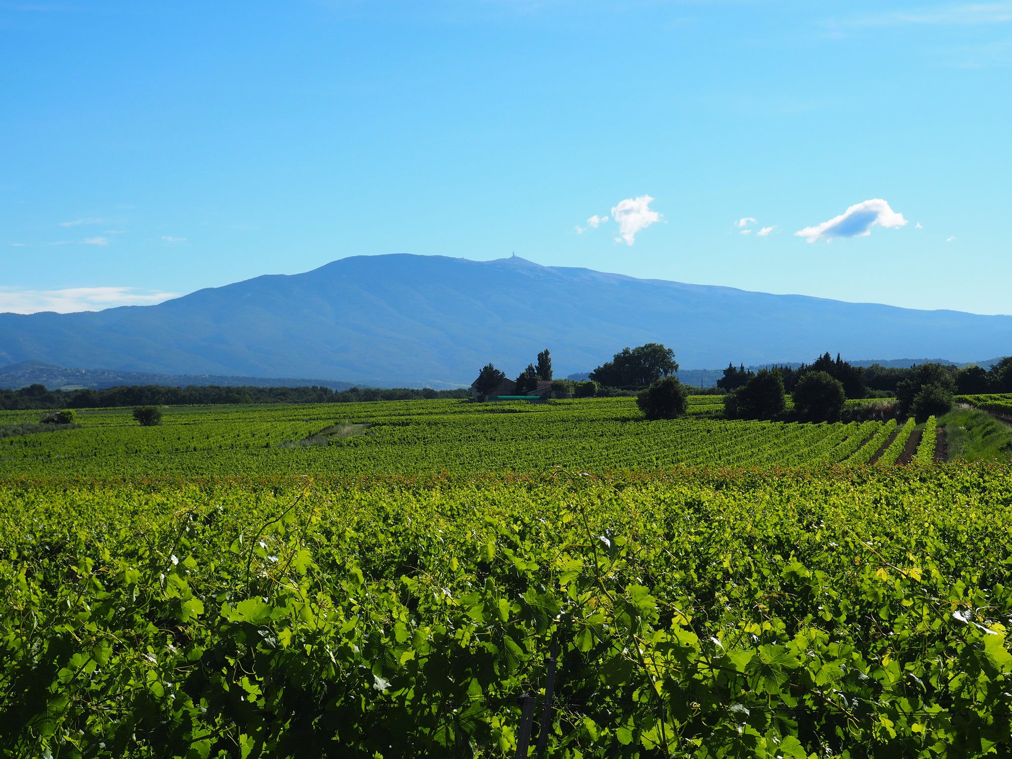 Mont-Ventoux 