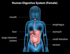 Digesting CBD will take a while to work as opposed to taking CBD sublingual or vaping it.