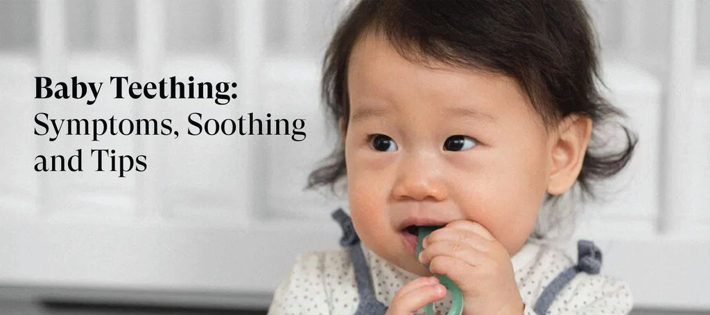 Baby Teething Symptoms, Soothing and Tips