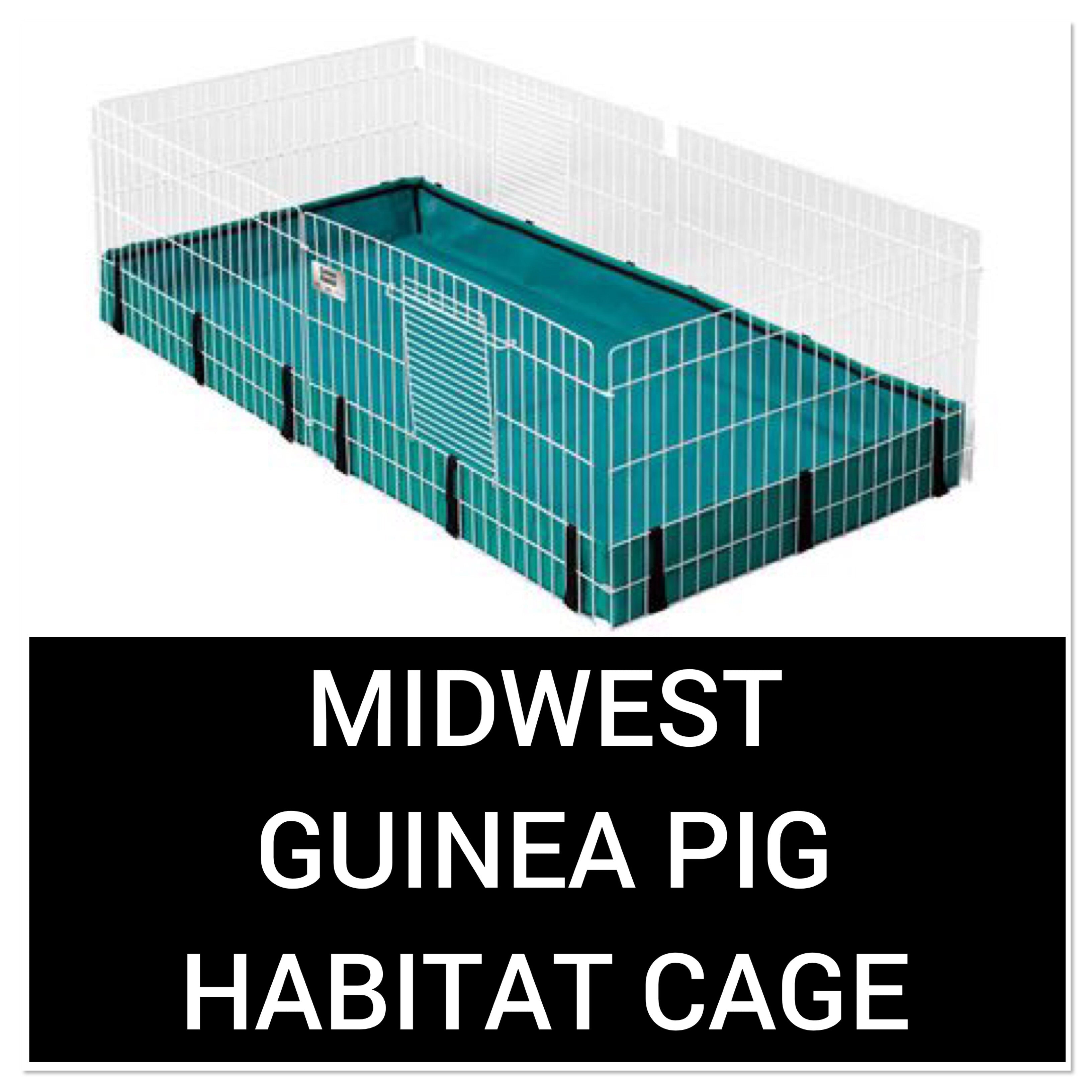 midwest mezzanine guinea pig
