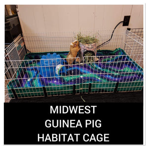 midwest mezzanine guinea pig