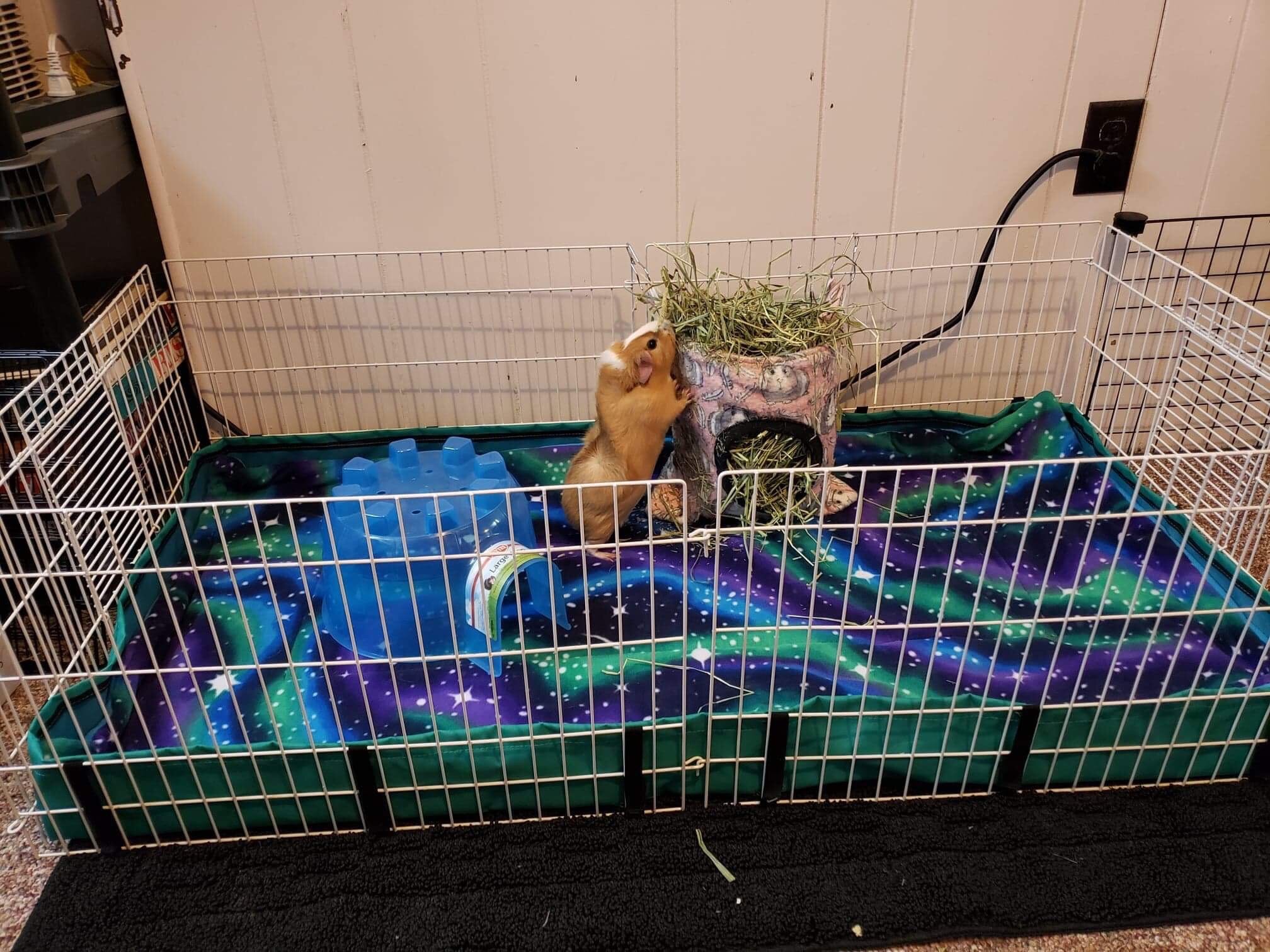 guinea pig fleece cage liner for midwest habitat