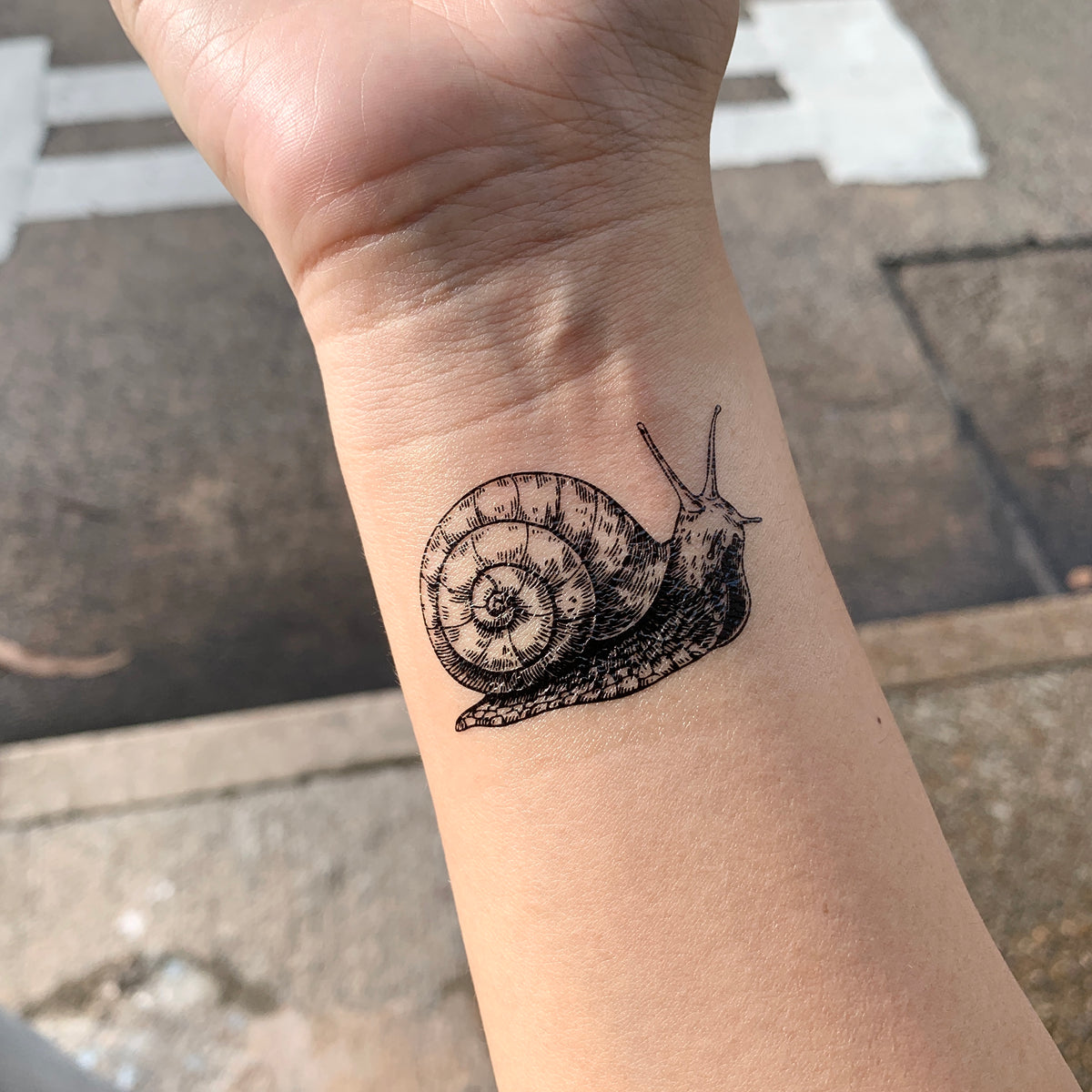 snail tattoo